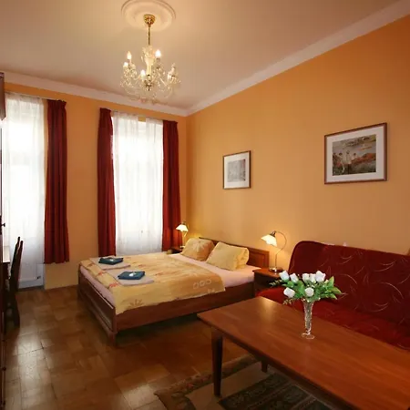 Apartment No. 10 Zeyerova 13 *